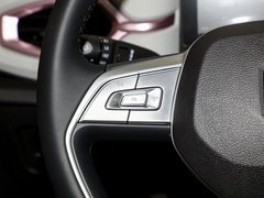 2023¿î ÖÜÄê¿î 301km °×ÓñÀ¼ 45kW