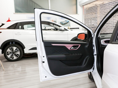 2023¿î ÖÜÄê¿î 301km °×ÓñÀ¼ 45kW