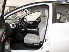 2023¿î ÖÜÄê¿î 301km °×ÓñÀ¼ 45kW