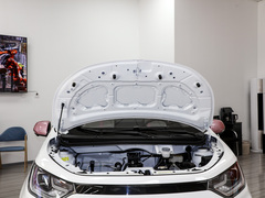 2023¿î ÖÜÄê¿î 301km °×ÓñÀ¼ 45kW