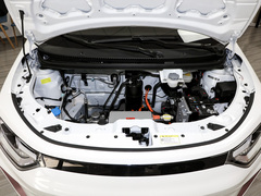 2023¿î ÖÜÄê¿î 301km °×ÓñÀ¼ 45kW