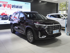 2023款 1.6TD DCT别墅 5座