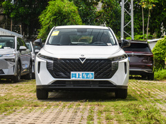 2024款 260T 新星版 Pro