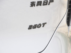 2023款 260T 爱豆版 Pro