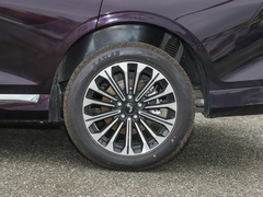 2023款 2.0L DHT奢享型