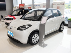 2023款 203km 轻享款