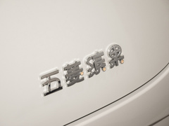 2023款 203km 轻享款
