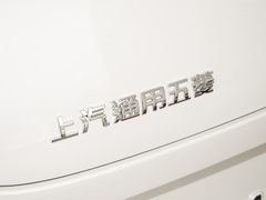 2023款 203km 轻享款