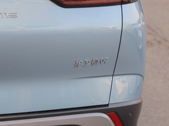 2023款 DM-i 100KM 旗舰型