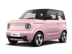 2023款 熊猫mini 新春版宝藏熊