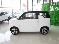 2023款 熊猫mini 新春版宝藏熊