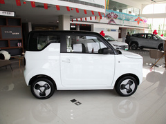 2023款 熊猫mini 新春版宝藏熊