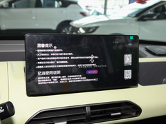 2023款 熊猫mini 新春版宝藏熊