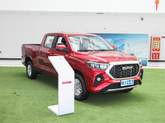 2023款 2.0L 手动 长轴 能量版
