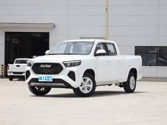 2023款 2.0L 手动 长轴 能量版