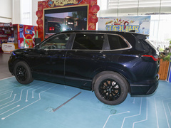 2023款 e:PHEV 尊贵版