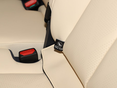 2023款 3.0T V6 汽油极境版