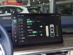 2023款 2.4T 柴油极享版