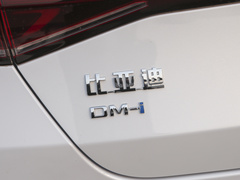 2023款  冠军版 DM-i 120KM超越型