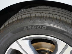 2024款 冠军版 1.5TD-DHT Pro 100KM 超越型