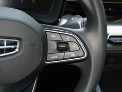 2024款 冠军版 1.5TD-DHT Pro 100KM 超越型