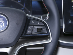 2023款 冠军版 DM-i 120KM领先型