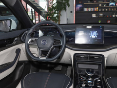2023款 冠军版 DM-i 120KM领先型