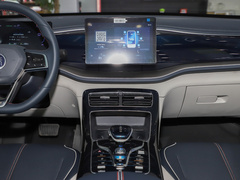 2023款 冠军版 DM-i 120KM领先型