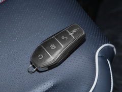 2023款 冠军版 DM-i 120KM领先型