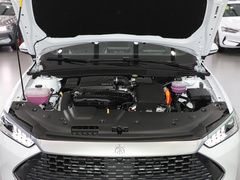 2023款 冠军版 DM-i 120KM领先型