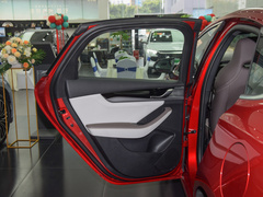 2023款 冠军版 DM-i 120KM领先型