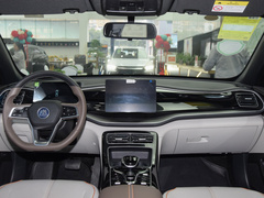 2023款 冠军版 DM-i 120KM领先型