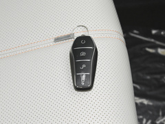 2023款 冠军版 DM-i 120KM领先型