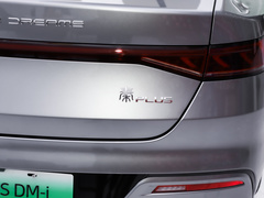 2023款 冠军版 DM-i 120KM领先型