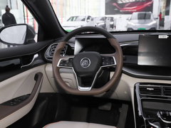 2023款 冠军版 DM-i 120KM领先型