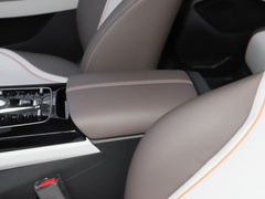 2023款 冠军版 DM-i 120KM领先型