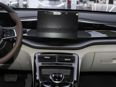 2023款 冠军版 DM-i 120KM领先型