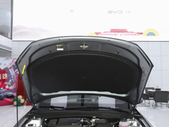 2023款 冠军版 DM-i 120KM领先型