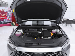 2023款 冠军版 DM-i 120KM领先型