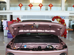 2023款 熊猫mini 200km 灵动熊