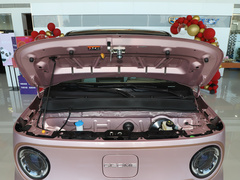 2023款 熊猫mini 200km 灵动熊