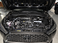 2023款 2.0L 精英版