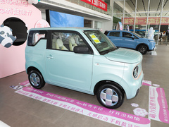 2023款 熊猫mini 120km 萌萌熊