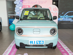 2023款 熊猫mini 120km 萌萌熊