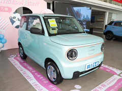 2023款 熊猫mini 120km 萌萌熊