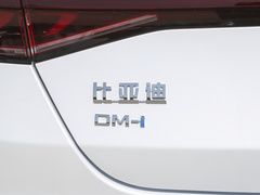 2023款 冠军版 DM-i 55KM领先型