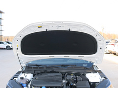 2023款 蓝鲸NE 1.5T GDI DCT领航型