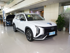 2023款 2.0L 尊贵版LUX