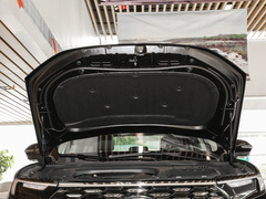 2023款 EcoBoost 225 精领型 6座