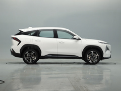2023款 1.5T 115km 星舰